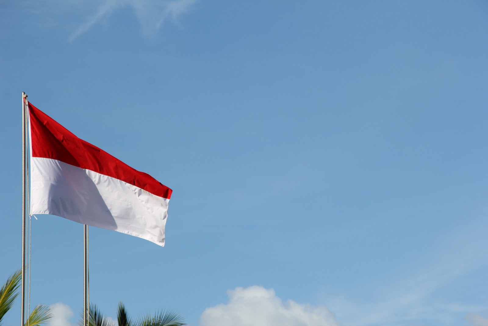 En Indonésie, l'école apprend à tricher aux élèves